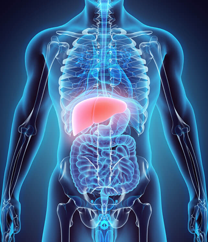 Gastroenterologia Dr. Nicolás García